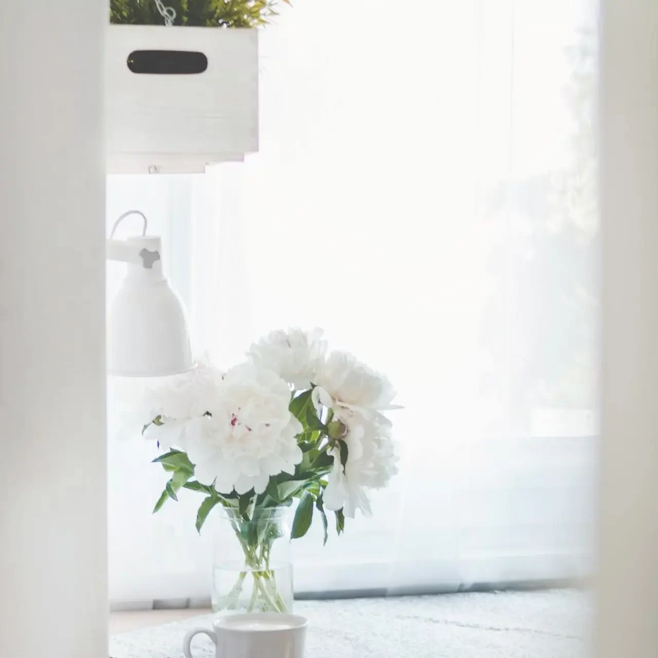 A stock photo representing a healthy, clean indoor air environment, contextualized for modern IAQ solutions.