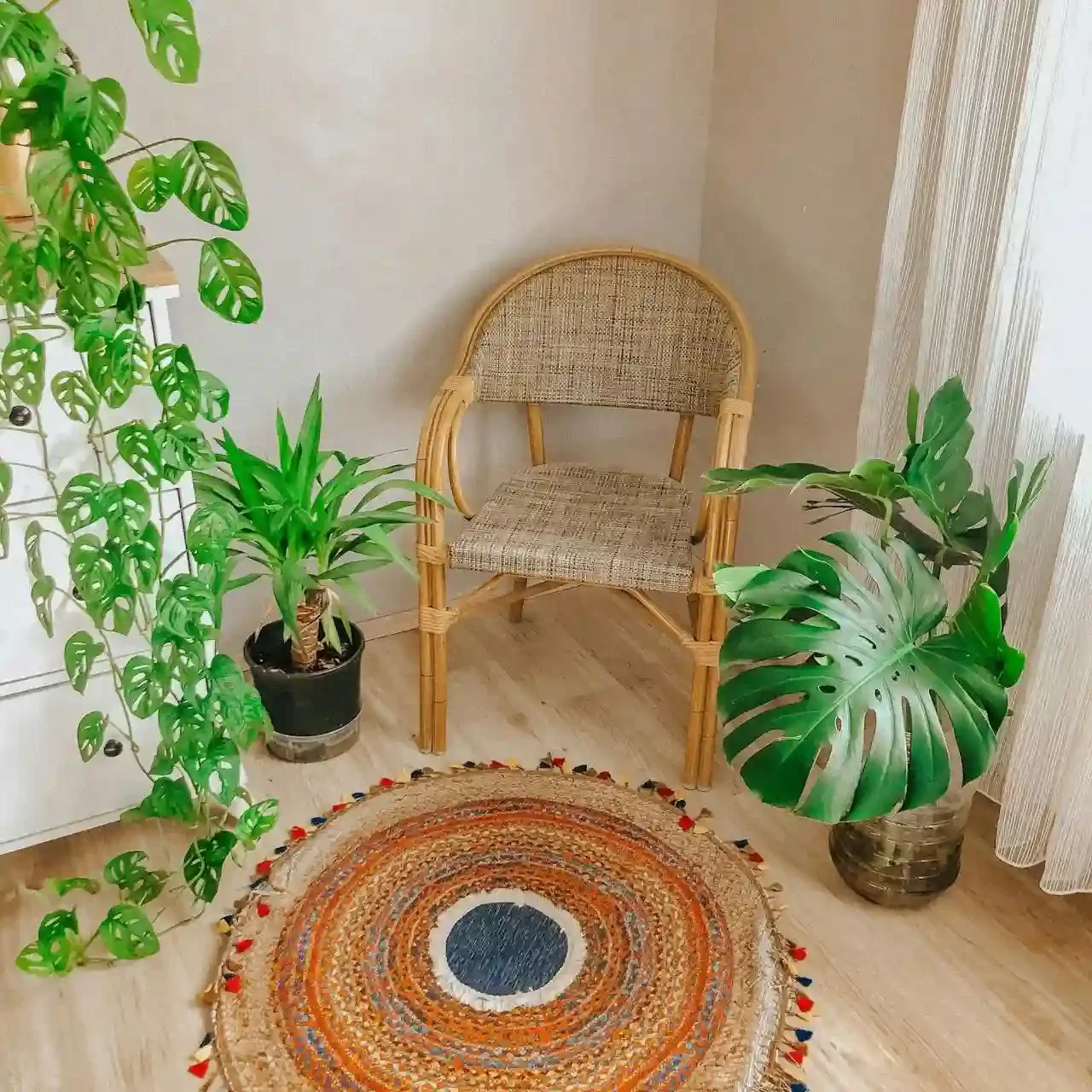 A cozy seating area with vibrant houseplants, representing a clean and breathable indoor air environment.